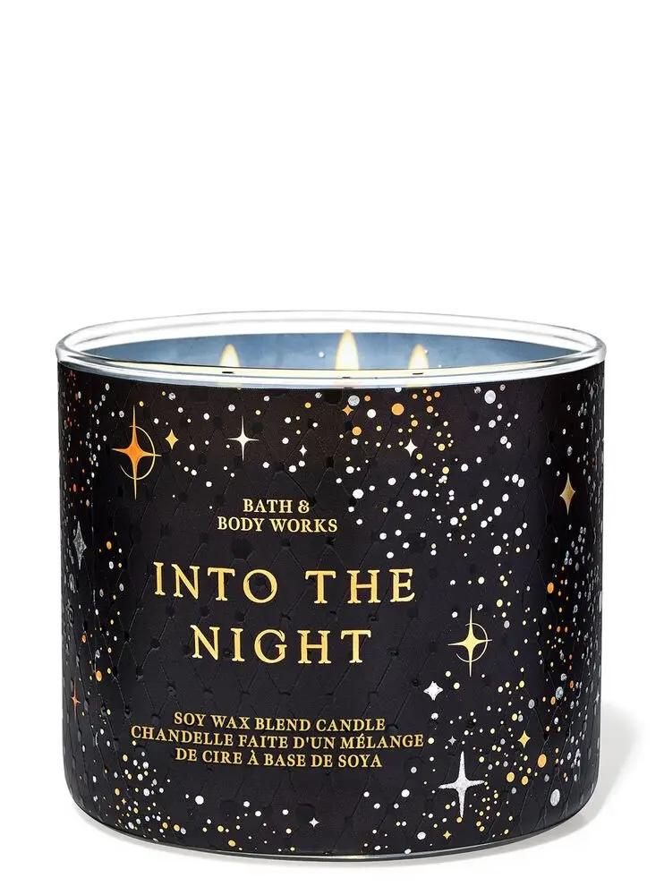 Into the Night 3-Wick Candle