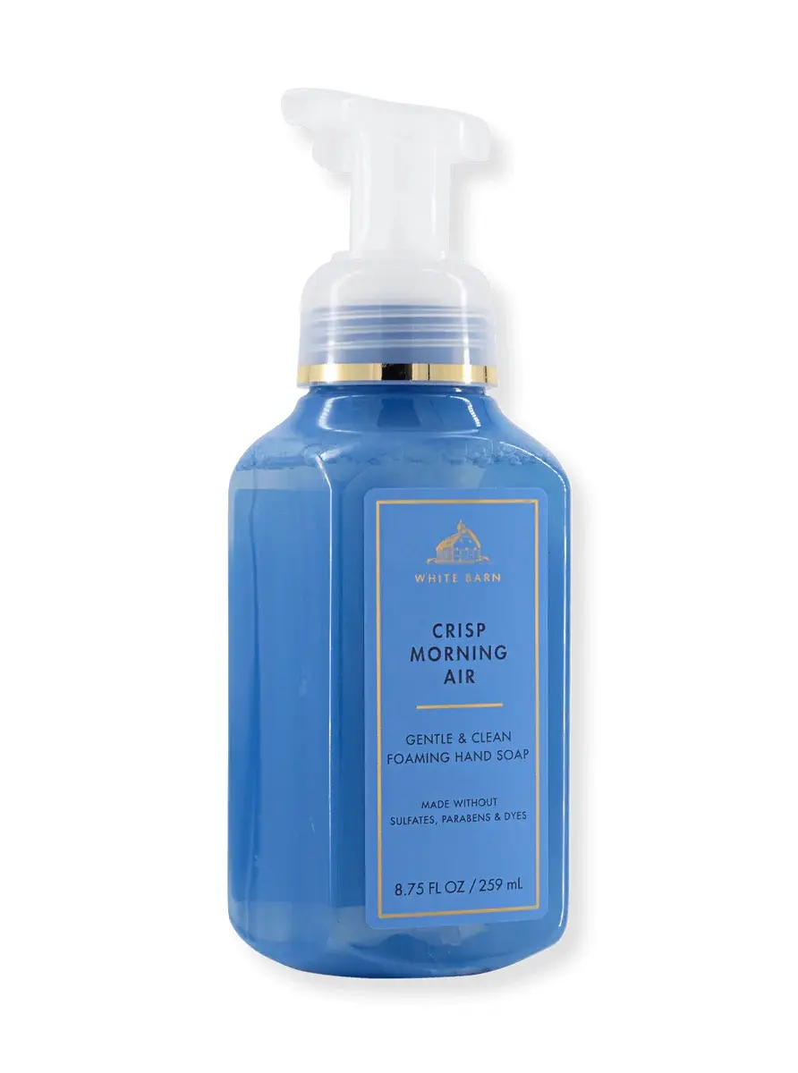 Crisp Morning Air Hand Soap